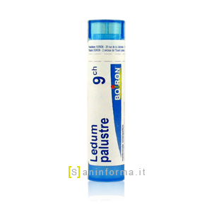 Ledum Palustre 9 ch Boiron